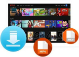 : Pazu Netflix Video Downloader v1.6.2