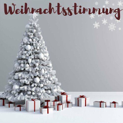 : Weihnachtsstimmung (2023)