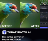 : Topaz Photo Ai v2.0.2 (x64)