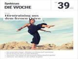 :  Spektrum Die Woche Magazin No 39 vom 29 September 2023