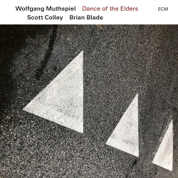 : Wolfgang Muthspiel, Scott Colley, Brian Blade - Dance of the Elders (2023)