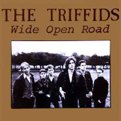 : The Triffids - Discography 1983-2006 FLAC