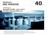 :  Spektrum Die Woche Magazin No 40 vom 06 Oktober 2023
