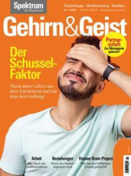 :  Spektrum Gehirn & Geist Magazin November No 11 2023