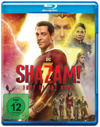 : Shazam Fury Of The Gods 2023 German 1080p BluRay x264-Dsfm