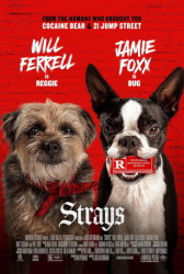 : Doggy Style - Strays 2023 German Eac3 Dubbed Dl 1080p BluRay x265-Fd