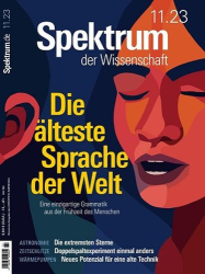 : Spektrum der Wissenschaft Magazin November No 11 2023
