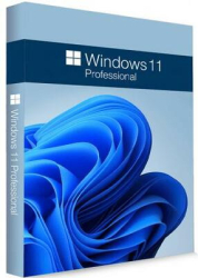 : Windows 11 Pro 22H2 Build 22621.2428 (x64) Preactivated