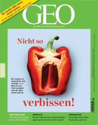 : Geo Die Welt mit anderen Augen sehen Magazin No 11 November 2023
