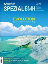 :  Spektrum Spezial Magazin (Evolution) Oktober No 04 2023