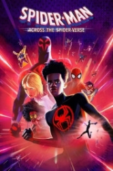 : Spider Man - Across the Spider Verse 2023 German 1600p AC3 micro4K x265 - RAIST