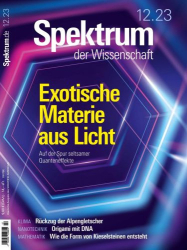 : Spektrum der Wissenschaft Magazin No12 Dezember 2023
