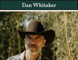 : Dan Whitaker - Sammlung (08 Alben) (1999-2023)