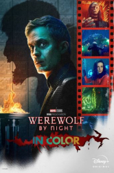 : Werewolf by Night in Color 2023 German AAC DL WEBRip x264 - SnAkEXD