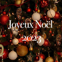 : Joyeux Noël 2023 (2023)