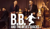 : B.B. & The Blues Shacks - Sammlung (16 Alben) (1994-2023)