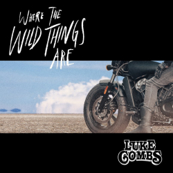 : Luke Combs-Where The Wild Things Are (57th Annual Cma Awards)-720p-x264-2023-Srpx