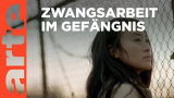 : Zwangsarbeit - Sos aus China German Doku 720p Hdtv x264-Pumuck