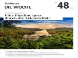 :  Spektrum Die Woche Magazin No 48 vom 01 Dezember 2023