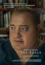 : The Whale 2022 German 1080p BluRay x264-Dsfm