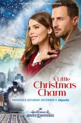 : A Little Christmas Charm 2020 German Dl 1080p WebHd h264-DunghiLl