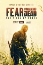 : Fear the Walking Dead 2015 Staffel 8 German AC3 microHD x 264 - RAIST