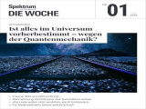 :  Spektrum der Wissenschaft Die Woche Magazin No 01 2024
