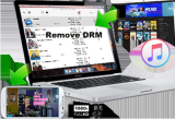 : Ondesoft iTunes DRM Media Converter 3.2.2