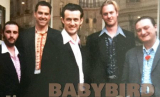 : Baby Bird - Sammlung (12 Alben) (1995-2019)