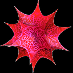 : Wolfram Mathematica 14.0.0