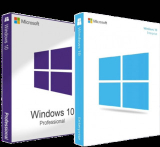 : Windows 10 Pro/Enterprise 22H2 build 9045.3996 (x64)