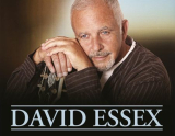 : David Essex - Sammlung (20 Alben) (1973-2011)