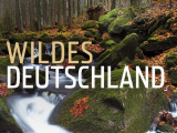 : Expeditionen ins Tierreich Englands Wald der Koenige 2024 German Doku 720p Hdtv x264-Tmsf
