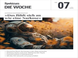 :  Spektrum Die Woche Magazin No 07 vom 16 Februar 2024