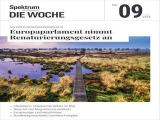 :  Spektrum der Wissenschaft Die Woche Magazin No 09 2024