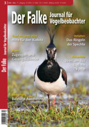 : Der Falke Journal für Vogelbeobachter - März 2024