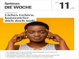 :  Spektrum Die Woche Magazin No 11 vom 15 März 2024