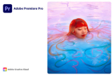 : Adobe Premiere Pro 2024 v24.3.0.59 (x64) Portable