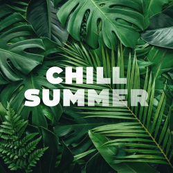 : Chill Summer 2024 (2024)