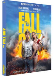 : The Fall Guy 2024 TS LD German 720p x265 - LDO