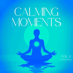 : Calming Moments, Vol. 4 (2024)