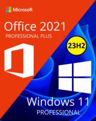: Windows 11 Pro 23H2 Build 22631.3593