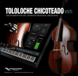 : Producers Vault Tololoche Chicoteado VSTi v1.1