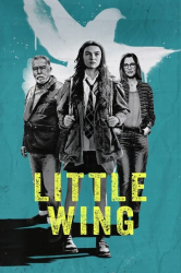 : Little Wing 2024 German DL EAC3 1080p AMZN WEB H264 - ZeroTwo