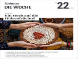 :  Spektrum der Wissenschaft Die Woche Magazin No 22 2024