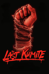 : The Last Kumite 2024 BDRip DD5 1 x264 - playSD