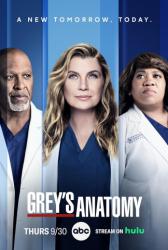 : Greys Anatomy 2005 S20E01 German Dl Eac3 720p Dsnp Web H264-ZeroTwo