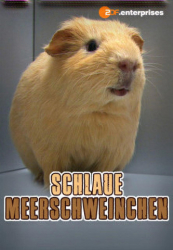 : Schlaue Meerschweinchen 2010 German Doku 1080P Web H264-LiTterarum