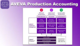 : AVEVA Production Accounting 2024