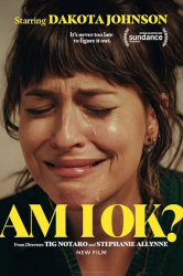 : Am I Ok 2022 German Md Dl Web 1080p x265-omikron